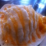 20638031 - 金銀財宝