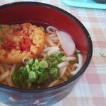 さつき屋 - 料理写真:天ぷらうどん（５００円）