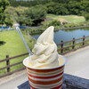 ガンジーハウス - 料理写真:ソフトクリーム　３６０円