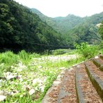 風巻苑 - 雑草に覆われた川原