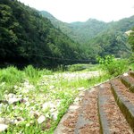 風巻苑 - 雑草に覆われた川原