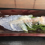 お魚処 玄海 - 