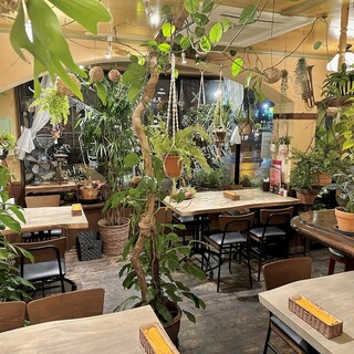 A relaxing space with lots of antiques and plants.