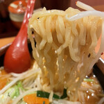 Mennba tadokorosyouten - 山椒味噌ラーメン　麺アップ