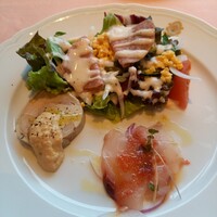 La Terrazza SABATINI - 