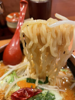 Mennba tadokorosyouten - 山椒味噌ラーメン　麺アップ