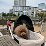 RHC CAFE - 店舗を囲む様にＬ字のテラス席