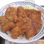 Inadaya - ソースかつ丼 ＋ ミニ中華セット