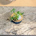 La Brianza - 富山湾白エビタルト仕立て根セロリ混ぜ込んだタルト。