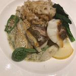 マッシュルーム - 真鯛のポワレ 青海苔のソース 山菜とハナビラタケ添え