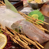 兼平鮮魚店 中洲はなれ - イカさん　さっきまで泳いでました〜