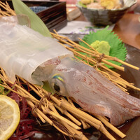 兼平鮮魚店 中洲はなれ - イカさん　さっきまで泳いでました〜
