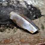 千葉たかおか - 小肌（千葉県船橋）