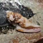 千葉たかおか - ハマグリ（千葉県木更津）