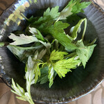 すーまぬめぇ - 