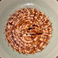 茶禅華 - 2023.4.  雲白肉片