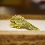 日本橋 蕎ノ字 - コシアブラ　又来年に