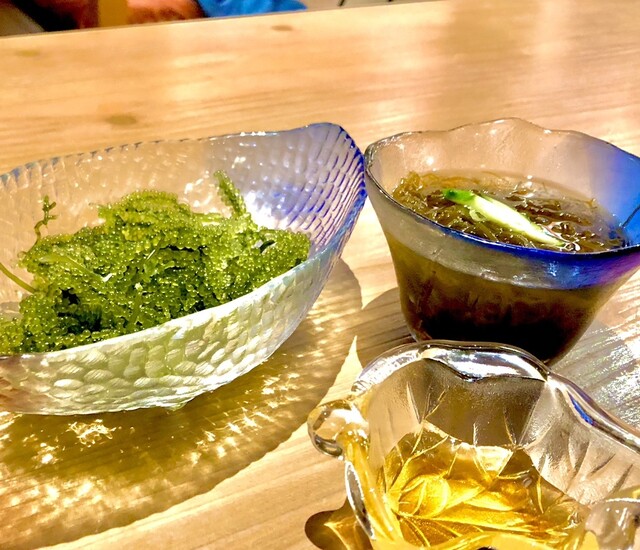 CANAGAN フリーランチキン 60 CANAGAN フリーランチキン 60 チキンラン2