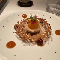 ジョンティ アッシュ -  ジョンティ アッシュ -