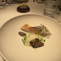 ジョンティ アッシュ -  ジョンティ アッシュ -