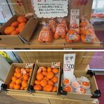 Rinrimpaku - 柑橘売場,りんりんパークー(愛媛県西条市)食彩品館.jp撮影