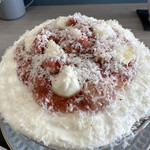 サクラサクラ - 