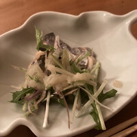 KOiBUMi - 