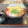 資さんうどん - 肉ごぼ天ぶっかけうどん 