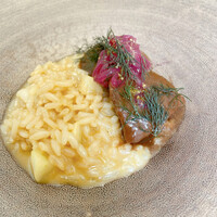 クイントカント - 