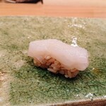 すし いわお - アオリイカ