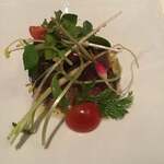 トスカネリア - 