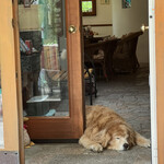 モンピジョン - 