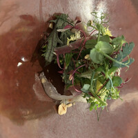 Ristorante Ecru - 