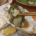 コンペイトウ - 