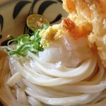 麺処まはろ - うどんをアップにしてみました。　わかりますね。　麺は見ただけで美味いことがわかります。(^o^)