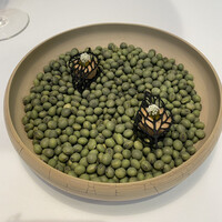 Installation Table ENSO L'asymetrie du calme - 