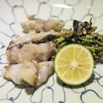 富小路 やま岸 - 