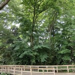 ル ミュゼ ドゥ アッシュ - 