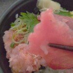 お魚専門店 魚種 - 