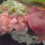 お魚専門店 魚種 - 酢飯旨し♪