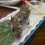 居酒屋 みこし - 