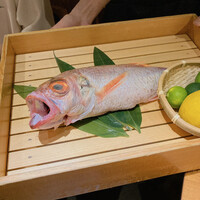 のどぐろ専門 銀座 中俣 - 