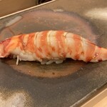 鮨桂太 - クルマエビ