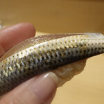 銀座 しのはら - こはだの握り