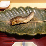 銀座 しのはら - 四万十川の鮎