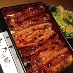 Unagi Takeda - 