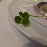 レ セゾン - 四つ葉のクローバー