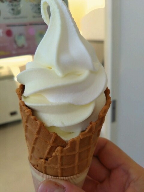 暑かった日、、思惑がはずれて昼飯抜きになった : あいすの家 北見メッセ店の写真