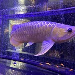 焼肉 拍手喝采 - 