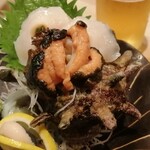 Kamata Sushi - サザエ